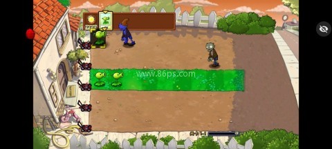 PvZ TV C支线