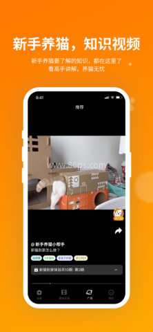 小o猫管家hholove 第2张图