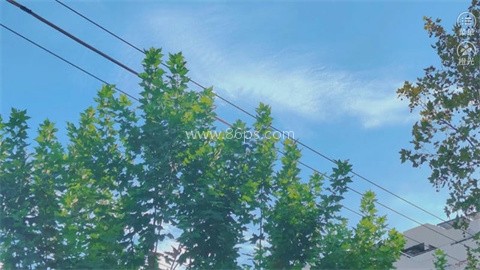 你是女巫吗