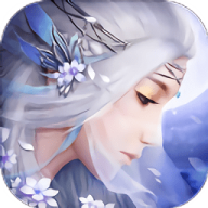 幻灵仙境果盘版