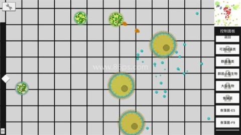 基因进化论