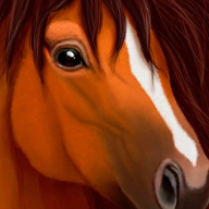 终极野马模拟器（UltimateHorse）