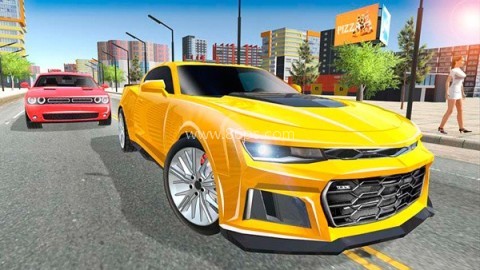 car simulator2
