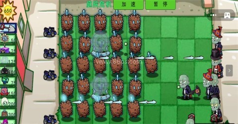 植物僵尸pv