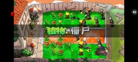 PvZ TV C支线 第1张图