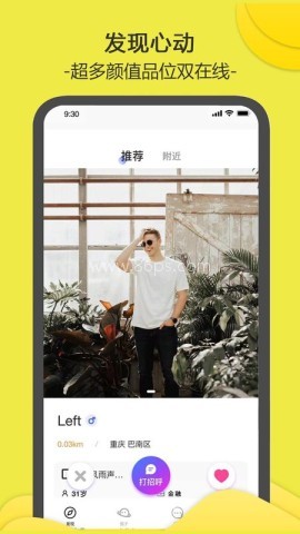 南乔木 第2张图