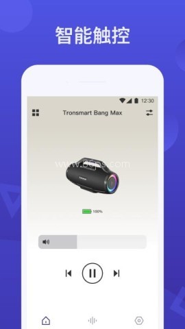 tronsmart蓝牙音箱