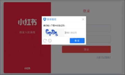 小红书电视版最新版 小红书9.40.1版 第6张图