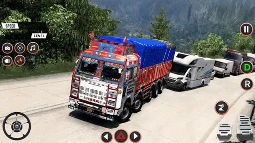 印度卡车驾驶
