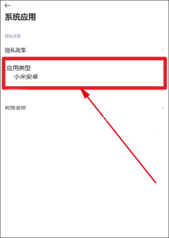设置系统应用