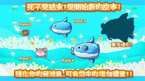 活下去曼波鱼 第1张图