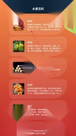 花朵物语赚钱小游戏 第6张图