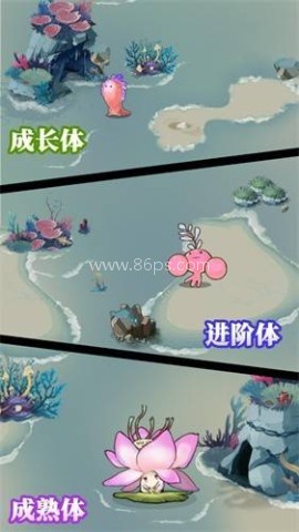 森林小女巫 森林小女巫