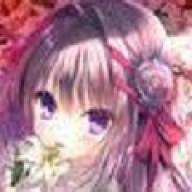 染成红色的真爱百合