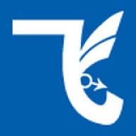 飞马星