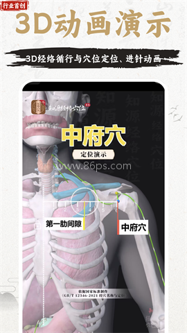 知源经络穴位