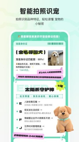 宠拍档