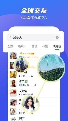 蝙蝠聊天软件