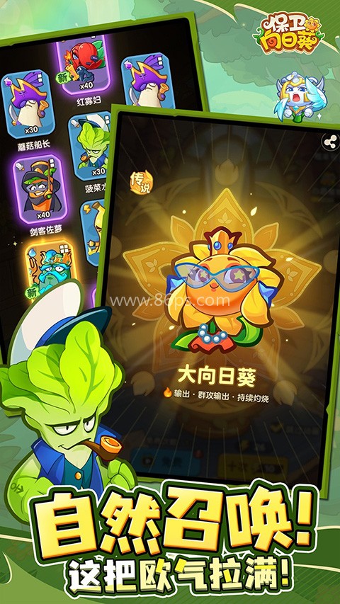 保卫向日葵免广告 保卫向日葵免广告