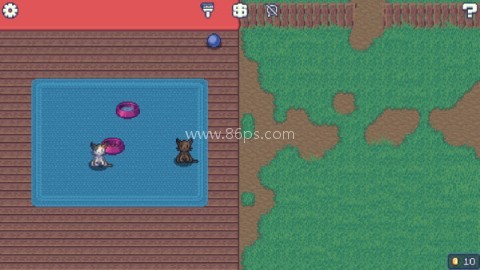 收养流浪猫