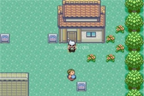 口袋妖怪绿宝石小智版