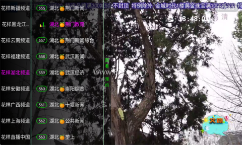 花样TV电视版