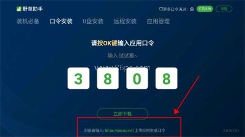 野草助手电视版
