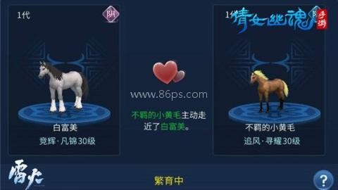 倩女幽魂渠道服 第1张图