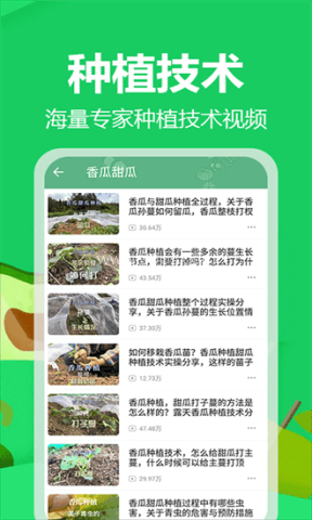 爷爷的农园
