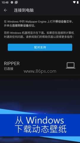 麻匪动态壁纸