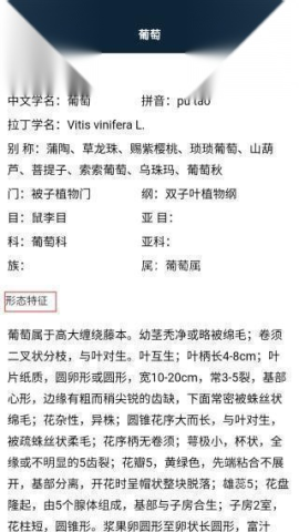 花朵物语赚钱小游戏 第7张图