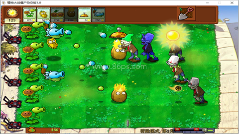 植物大战僵尸杂交重置版 植物大战僵尸杂交重置版