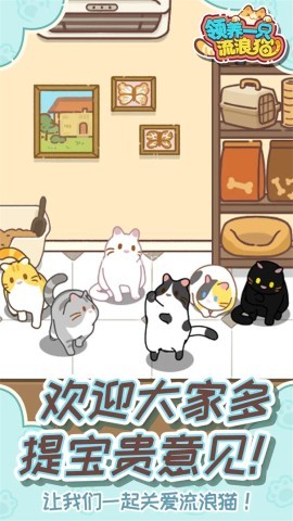 领养一只流浪猫 领养一只流浪猫