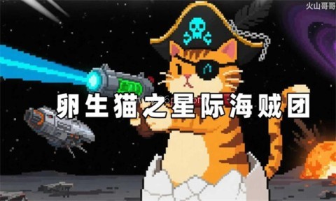 卵生猫之星际海贼团
