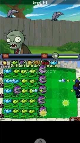 植物大战僵尸DS直装版