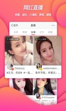 微博内置猪手版