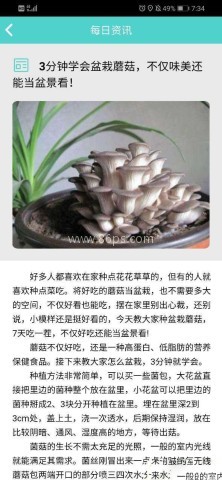 植物科普 植物科普