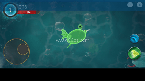 微生物世界孢子进化 第5张图