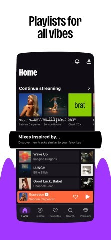 Deezer 第1张图