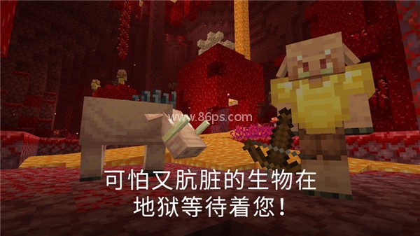 我的世界国际版1.21