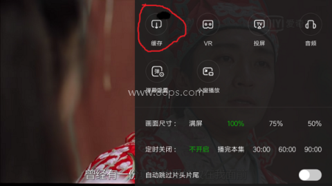 爱奇艺播放器 第2张图