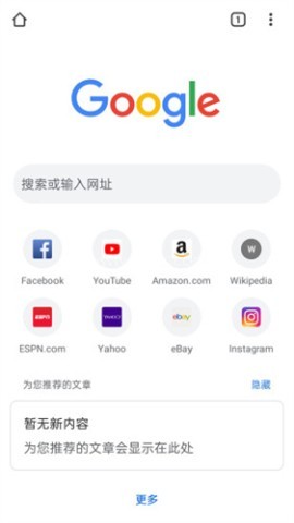 Google搜索