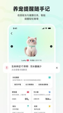 宠拍档 宠拍档
