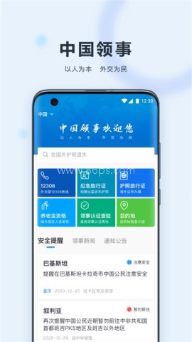 中国领事服务网