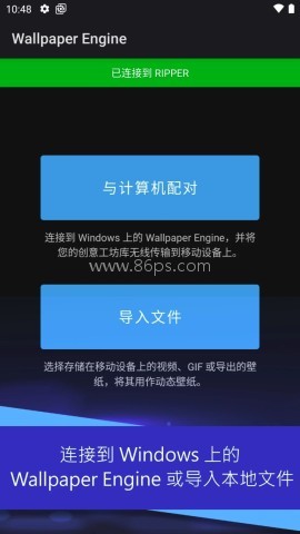 wallpaper麻匪壁纸