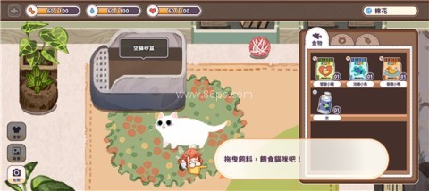 猫逝 第7张图