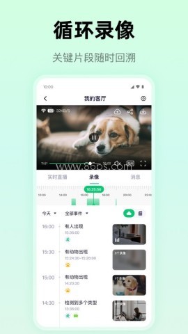 麦小芽摄像头监控 第2张图