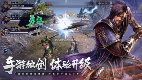 真三国无双霸