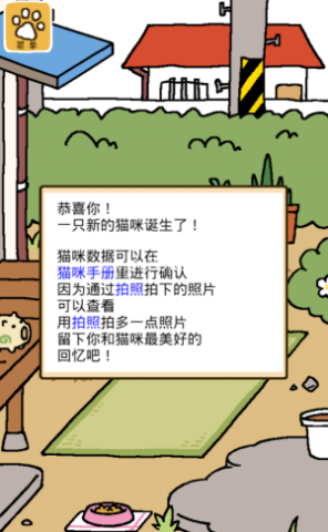 猫咪后院2国际服 第6张图