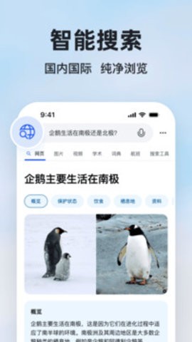 new bing